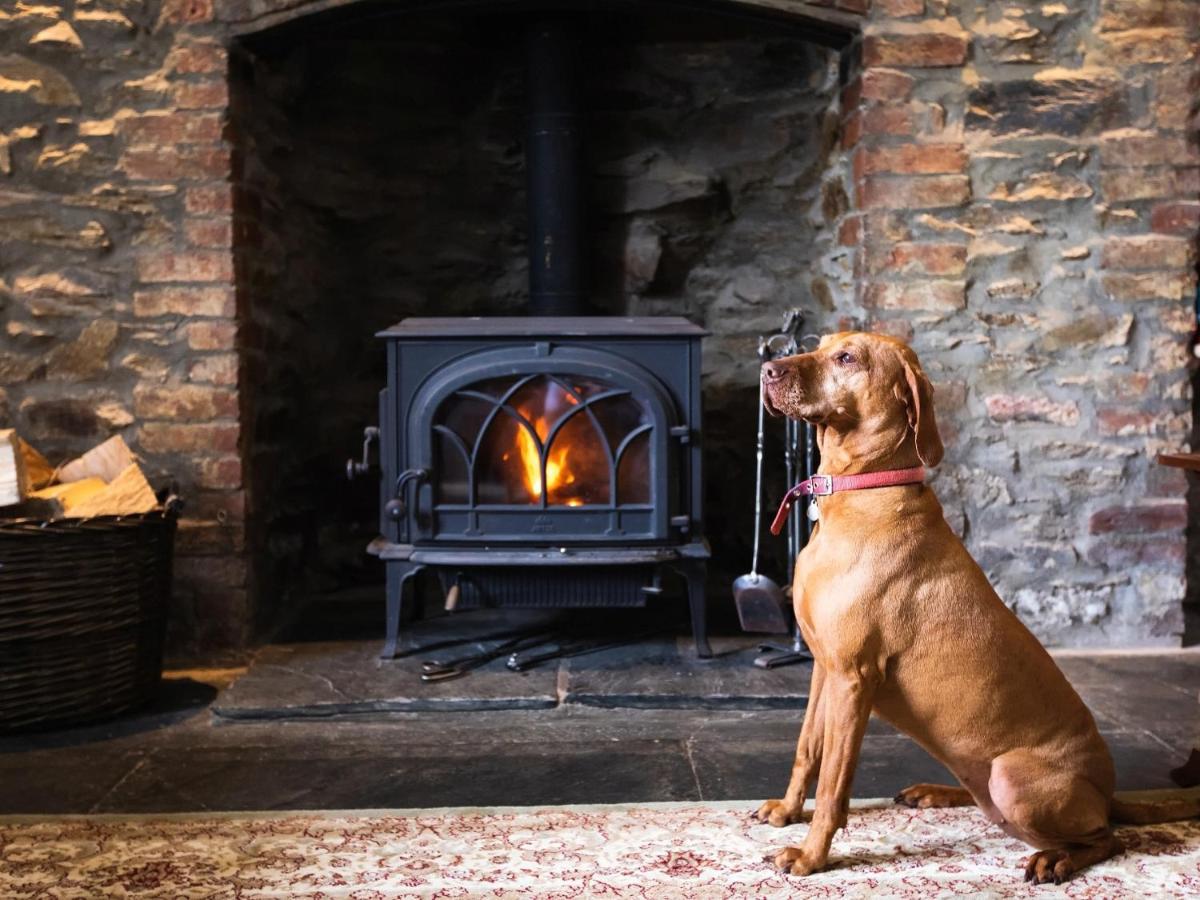 Pengelly Farmhouse B&B Truro Eksteriør bilde